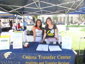 Staff run a booth at Tranfers Awareness Week