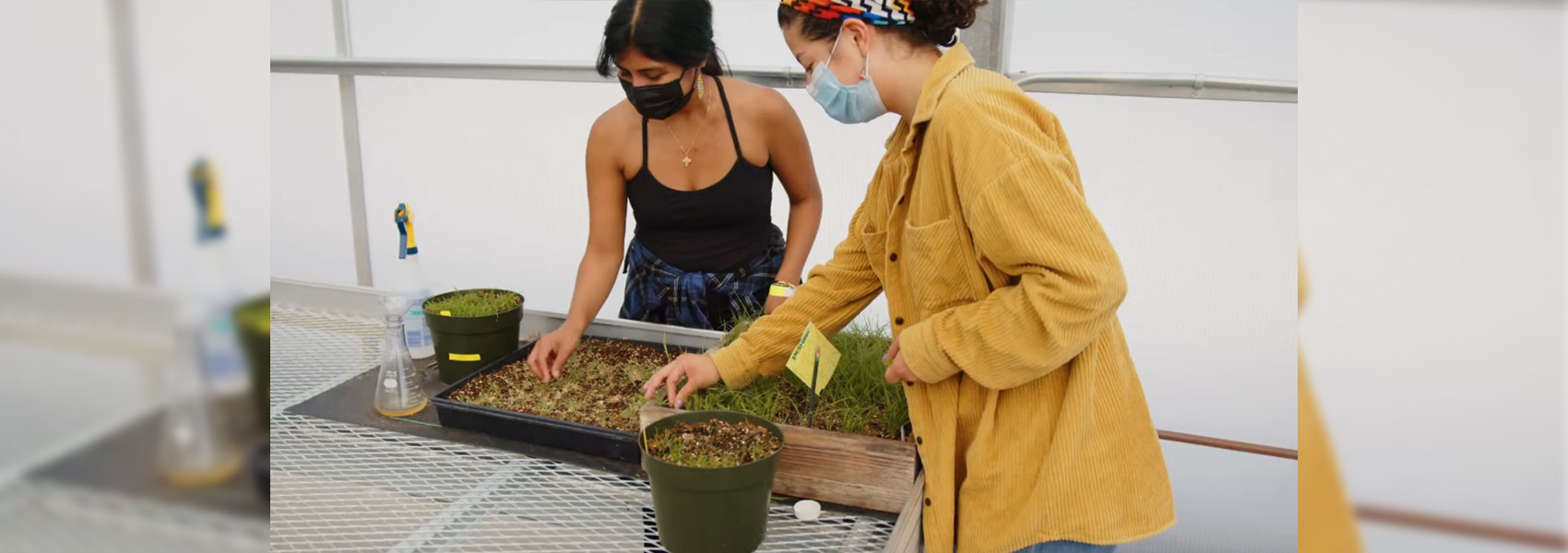 Natural Sciences at Fullerton College