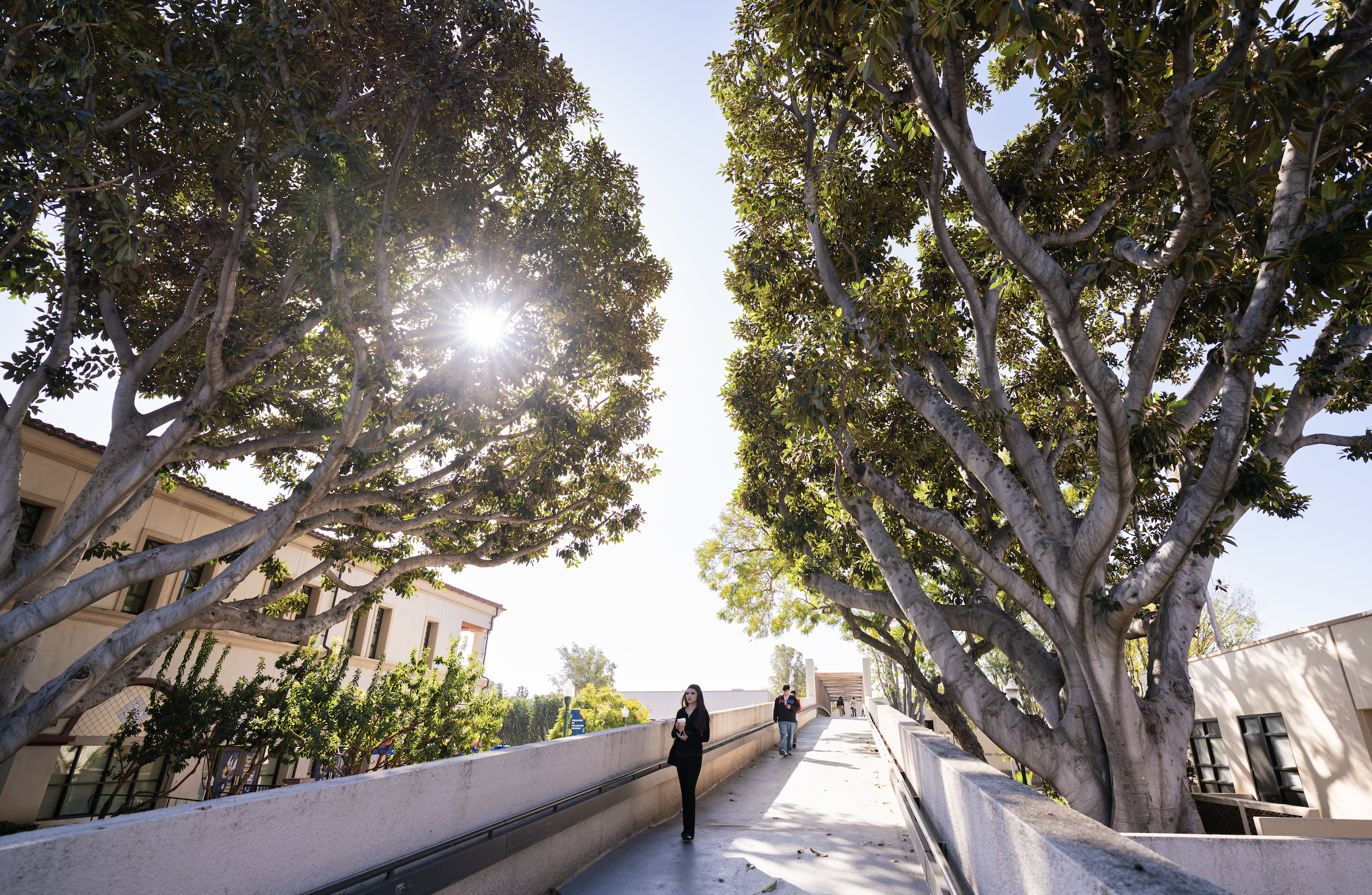 Fullerton College Earns Bronze Award in STARS Achievement 