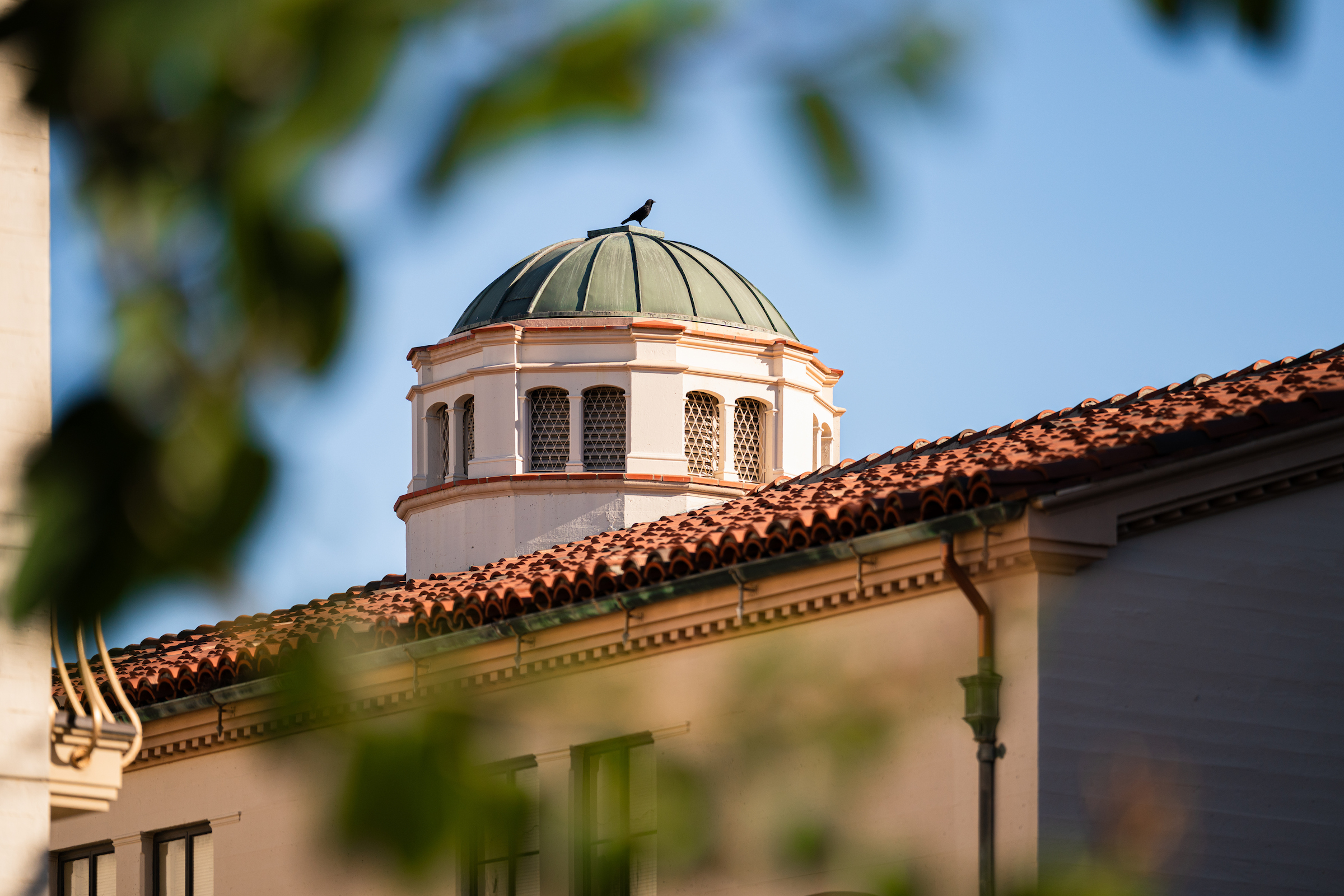Photo of dome on top of Building 600 soaring over the Fullerton College campus.